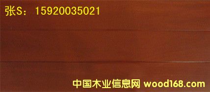 �t��̴ ��ľ�ذ�