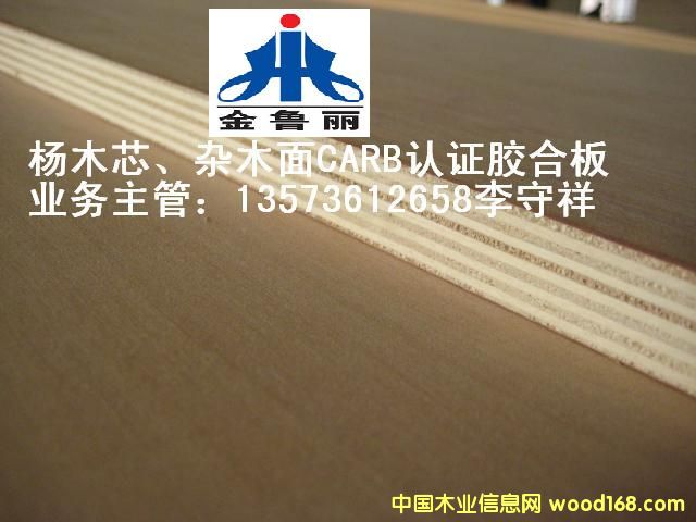 ��о���s��CARB�z�ϰ�