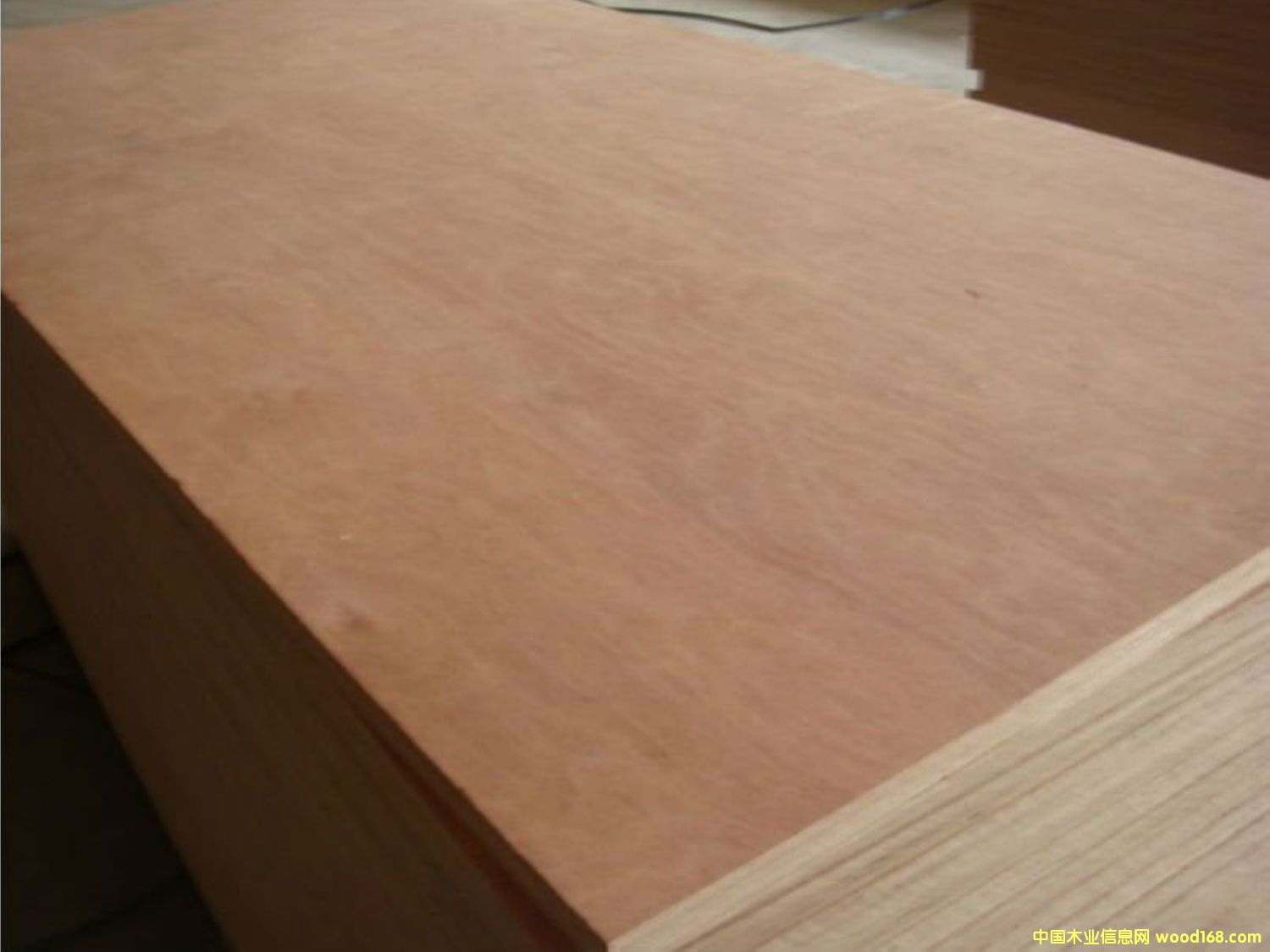 okoume��Ԕ����B