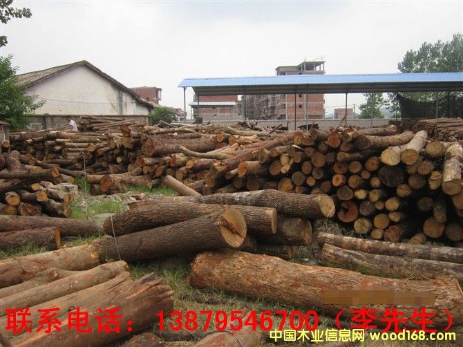 雜木的詳細介紹