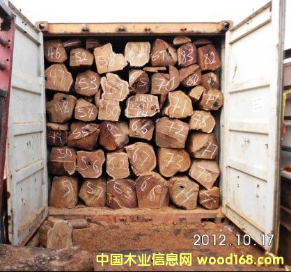 �Ӽ{������ľ��