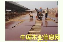 ���z���Ԕ��(x��)��B