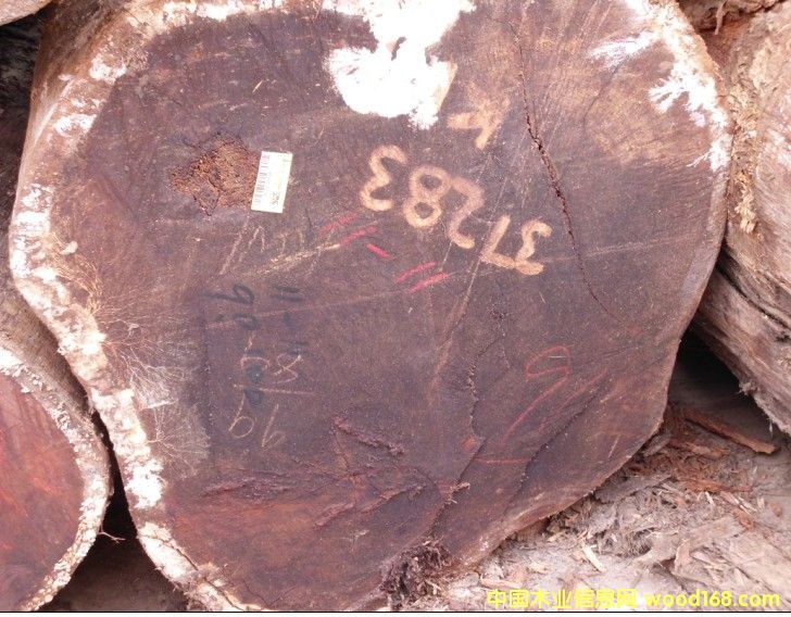 ���}���K��������ľ����̩��ԭľ��Ԕ��(x��)��B