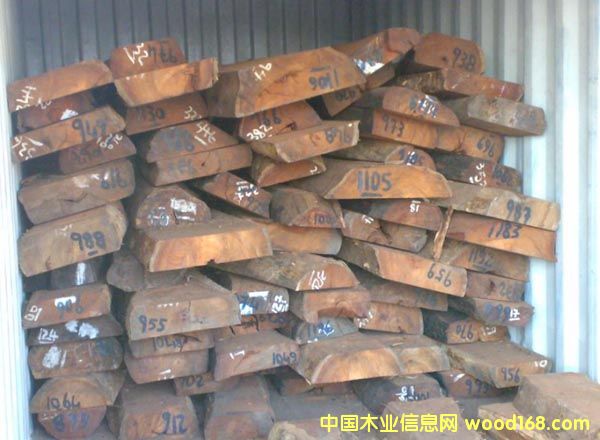 С�~�t̴/Swartzia/�R�_(d��)��˹���Fľ��