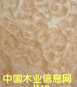 ɽ�������