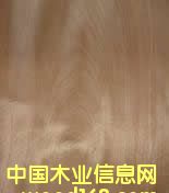 ���ЊW����