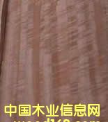 ��Ӱ�ȼ���