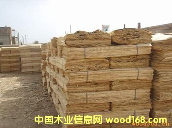 ��ľ�ΰ��Ԕ����B