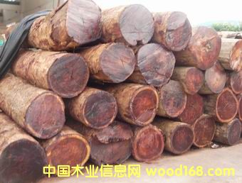 ���黨��ľ��Ԕ��(x��)��B