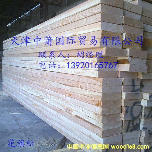 �����ɵ�Ԕ����B