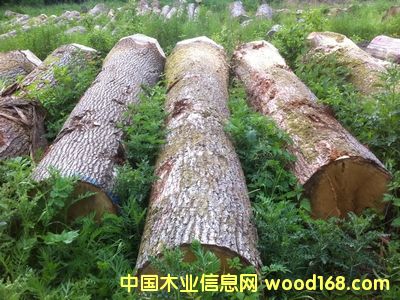 �·�AB��(j��)����ԭľ��Ԕ��(x��)��B