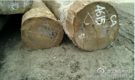 冰糖果的詳細(xì)介紹