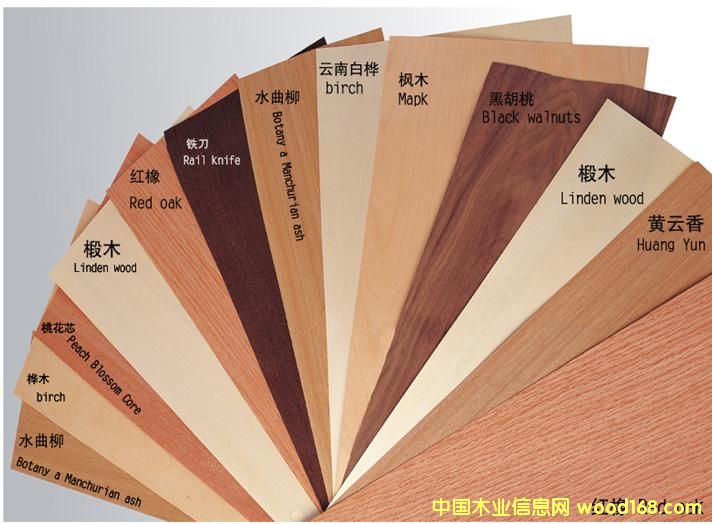 ���l(f��)���NľƤ��߅�l