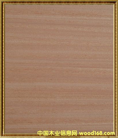 ���ѩ���������-ɳ������Ԕ����B