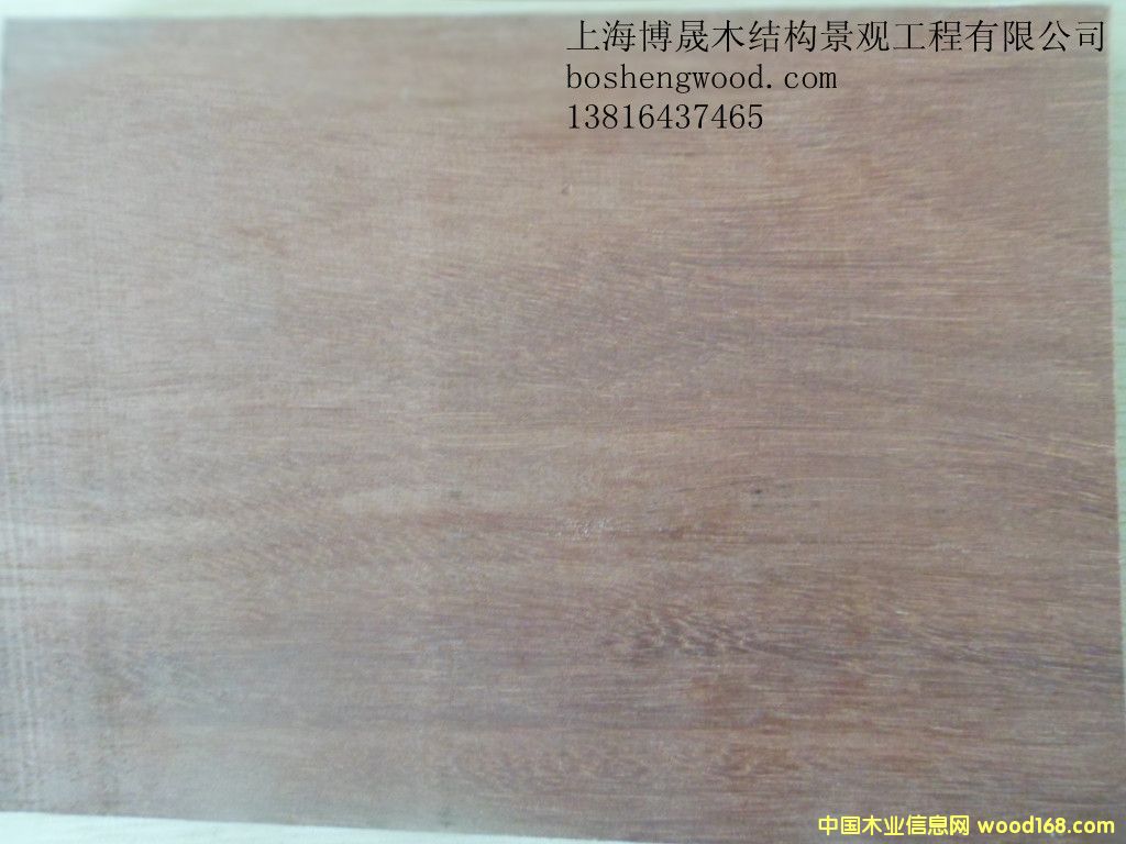 梢木的詳細介紹