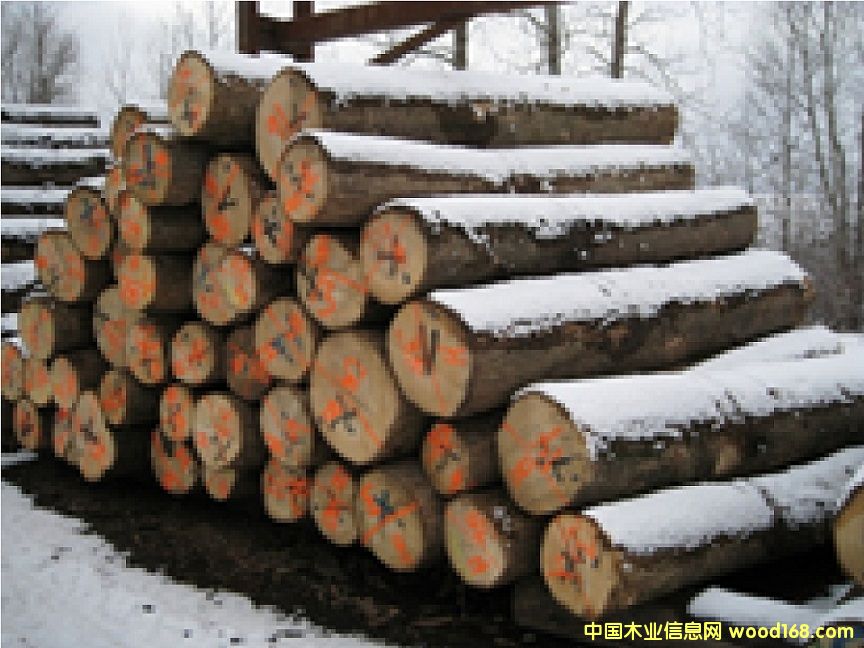 ����(gu��)��Ϟ?z��i)�ԭľ��Ԕ�?x��)��B