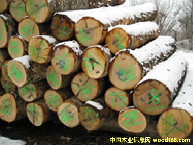 ����(gu��)��ľԭľ��Ԕ��(x��)��B