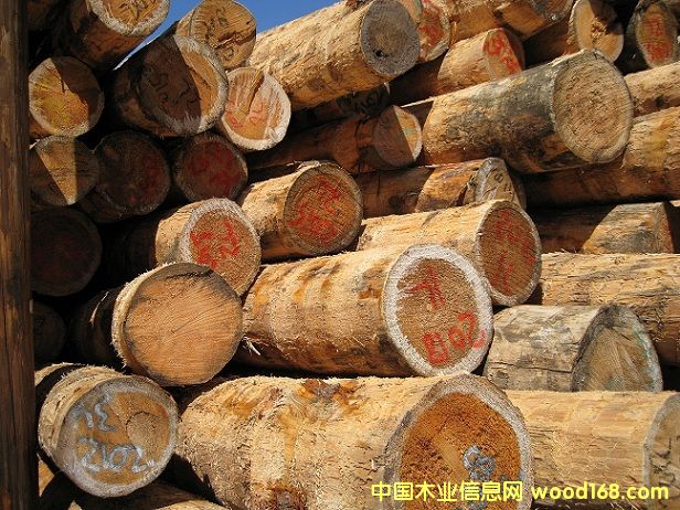 ����(gu��)����ԭľ��Ԕ��(x��)��B