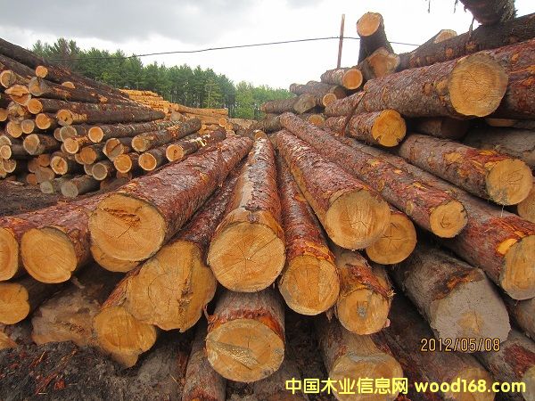 ����(gu��)�t��ԭľ��Ԕ��(x��)��B