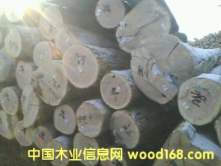 �ľ���вĵ�Ԕ��(x��)��B