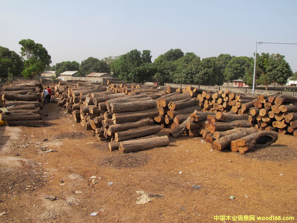 �����̴��Ԕ��(x��)��B