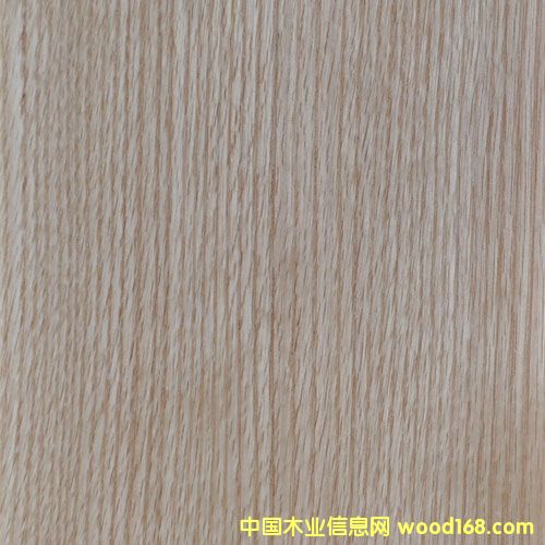 �t��ľƤ��Ԕ��(x��)��B