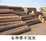 ���_˹�M(j��n)�����~�����ӵ�Ԕ��(x��)��B