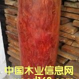 �Ჴ����̴