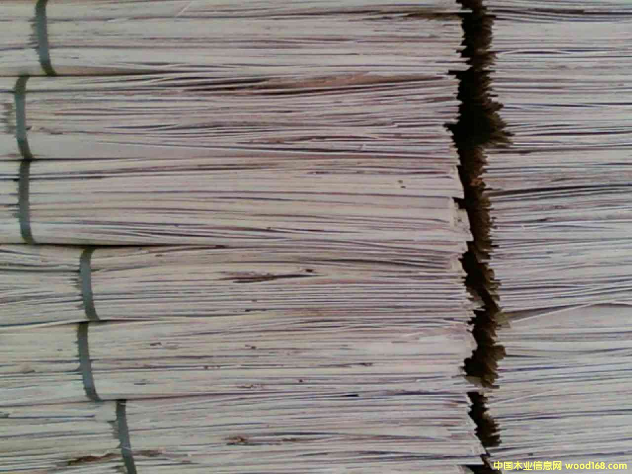 ��ľ�ΰ�2��Ԕ����B