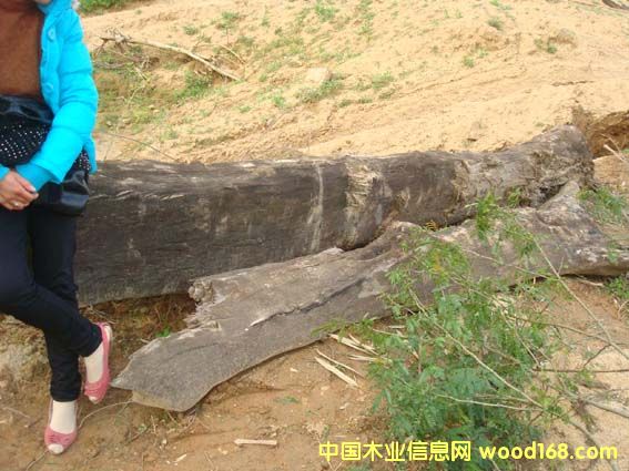 �ӓƽ�z�ľ��Ԕ��(x��)��B