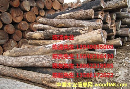 �t̴��Ԕ����B