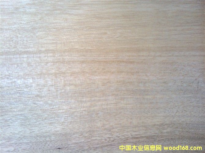 ���ԭľ��Ԕ��(x��)��B