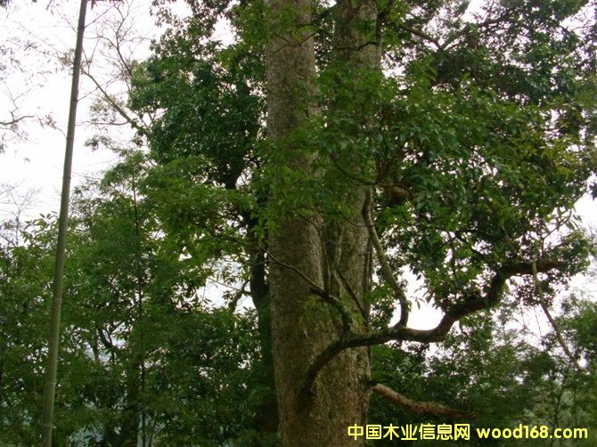 ��z�ľ��Ԕ��(x��)��B