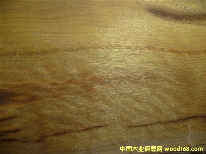 ��z�ľ��Ԕ��(x��)��B