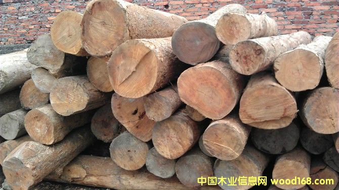 ��z�ľ��Ԕ��(x��)��B