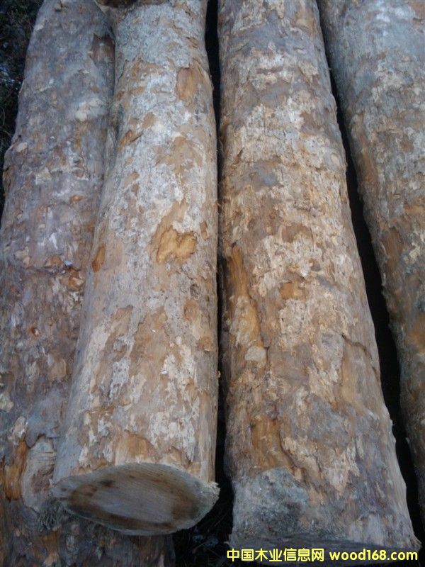 ��z�ľ��Ԕ��(x��)��B