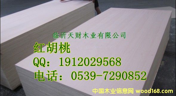 �t���Һں������z�ϰ��Ԕ��(x��)��B