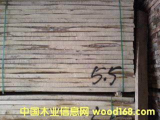 ��ľ��Ԕ��(x��)��B