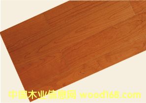 �o(w��)��ȩ��(sh��)ľ��(f��)�ϵذ��Ԕ��(x��)��B