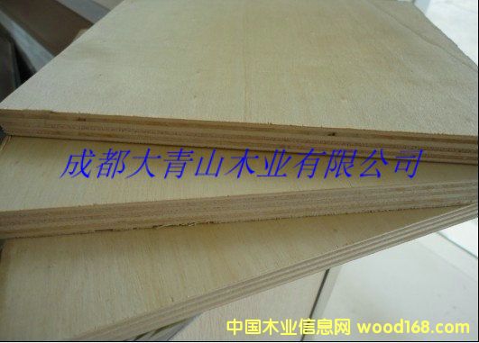 ��Ȼ��ȫ��ľ�A���Ԕ��(x��)��B