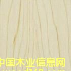 ���B(t��i)�壨��ľ����Ԕ����B