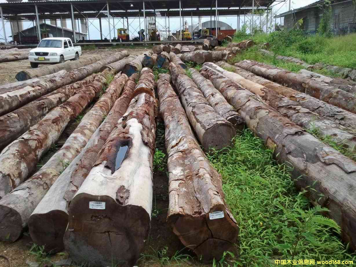 �����u��/������ľ��Ԕ��(x��)��B