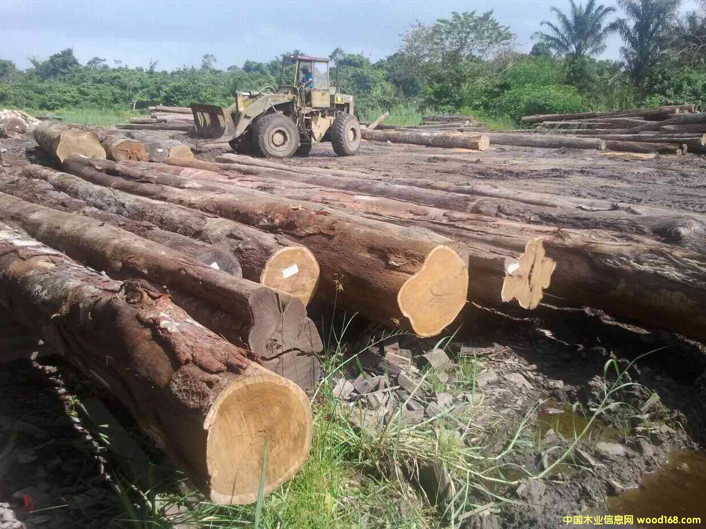 ���P̴��Ԕ��(x��)��B