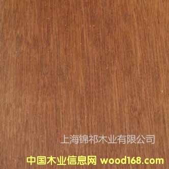 ɽ��ľ��Ԕ����B