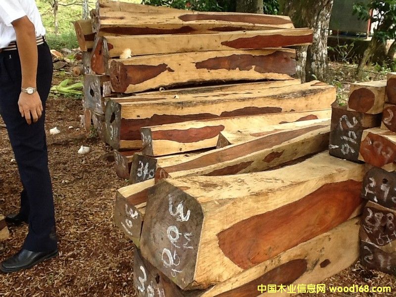 ΢���S̴��Ԕ��(x��)��B