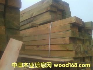 �����ɷ���ľ