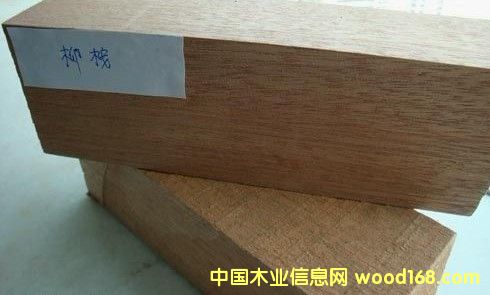 [��] ������ľ�����������ľ�������ľ����ľ���Ϻ��S����ľ����r