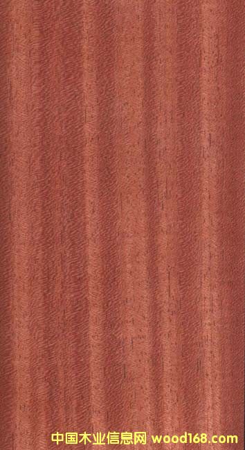 ���޲��}���Ԕ��(x��)��B