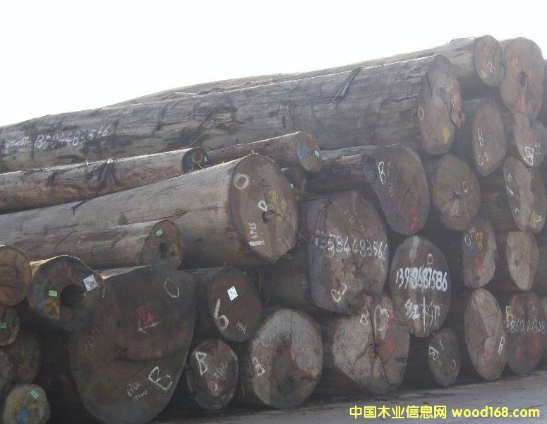 ����ľԭľ��Ԕ��(x��)��B