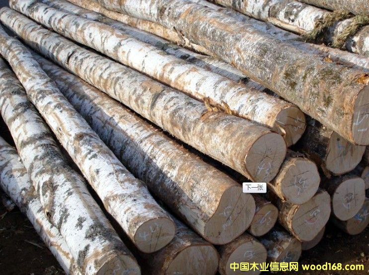 �Fɼԭľ��Ԕ��(x��)��B